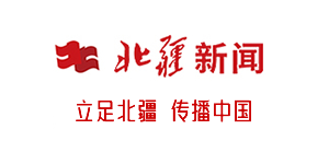 http://www.daxingzz.com