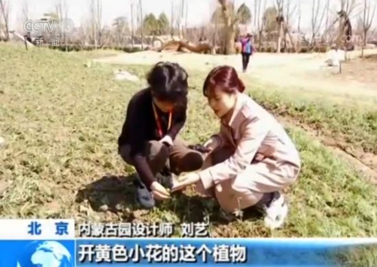 【魅力世園會】內(nèi)蒙古園：壯美的北疆畫卷