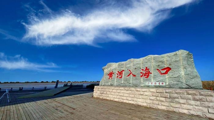 △黃河入?？谖挥谏綎|東營(yíng)市墾利區(qū)。(總臺(tái)央視記者彭漢明拍攝)
