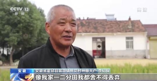 十八連豐！秋收近九成 我國糧食產(chǎn)能穩(wěn)步提升