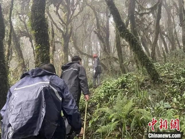 圖為救援現(xiàn)場。鎮(zhèn)沅縣委宣傳部提供