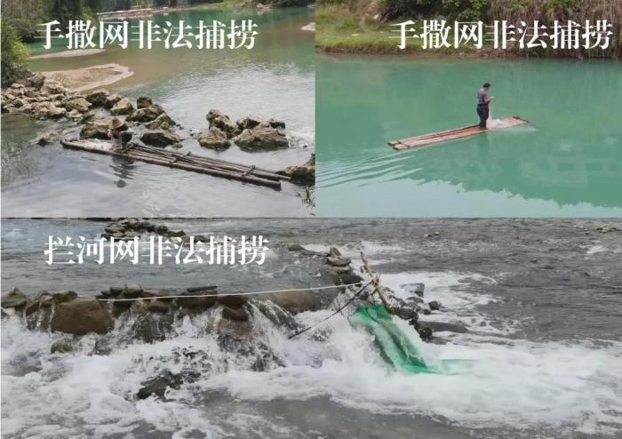 2021年9—10月，前期暗查發(fā)現(xiàn)，保護區(qū)核心區(qū)內非法捕撈行為十分猖獗