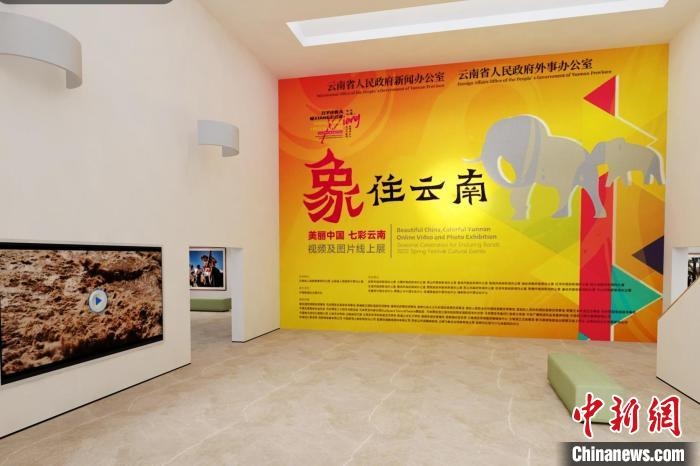 圖為“象”往云南——美麗中國 七彩云南視頻及圖片線上展截圖?！『h(yuǎn)航 攝