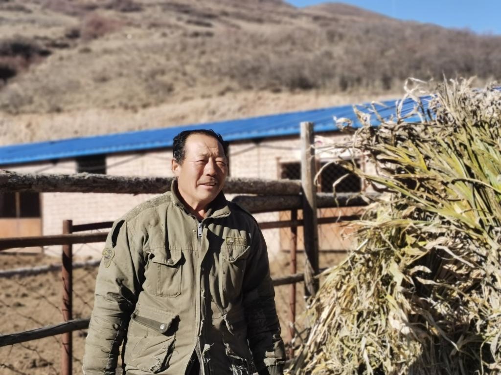 1月19日，山西省岢嵐縣脫貧戶呂如堂在牛圈前準(zhǔn)備草料。新華社記者 梁曉飛 攝