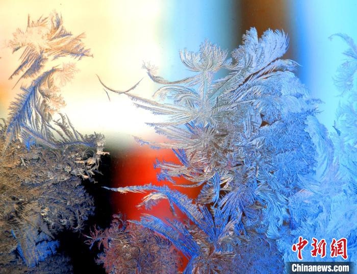冰窗花千姿百態(tài)?！O書程 攝