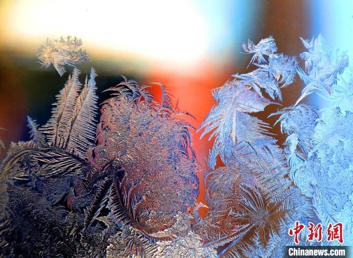惟妙惟肖的冰窗花，似一幅風(fēng)景畫。　孫書程 攝