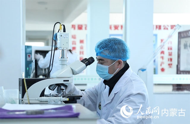 內(nèi)蒙古中農(nóng)興安種?？萍加邢薰韭鋺艨朴抑衅?，為肉牛產(chǎn)業(yè)發(fā)展提供了優(yōu)質(zhì)的種源保障。白俊華攝