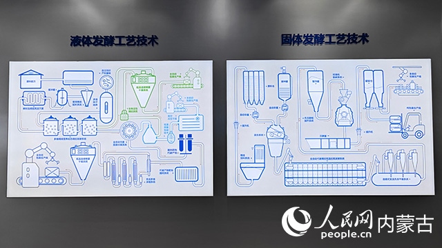 科拓生物工藝技術展示。人民網記者 張雪冬攝