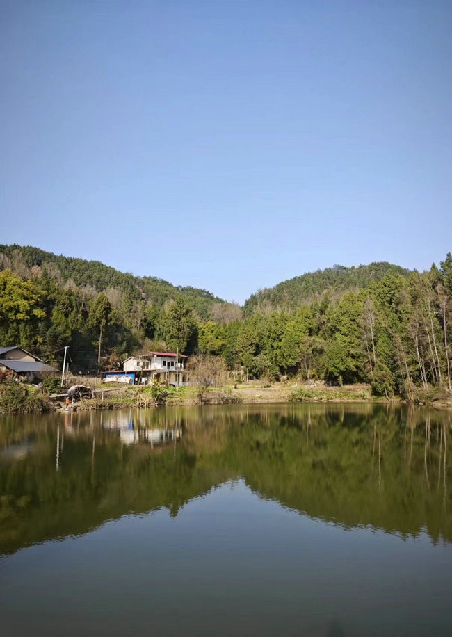 這樣在對面看，老家也算依山傍水.jpg