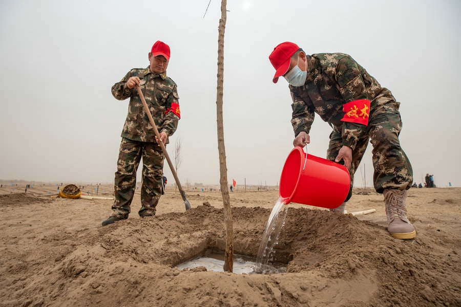 技術(shù)員現(xiàn)場指導(dǎo)植樹（攝影：包寶音德力格爾）.JPG