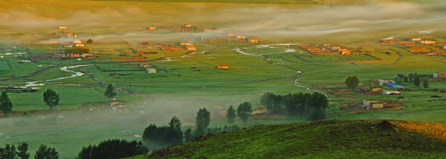 在“螞蟻森林”項(xiàng)目區(qū)，群眾攜手共添新綠（攝影：刁博禹）.jpg