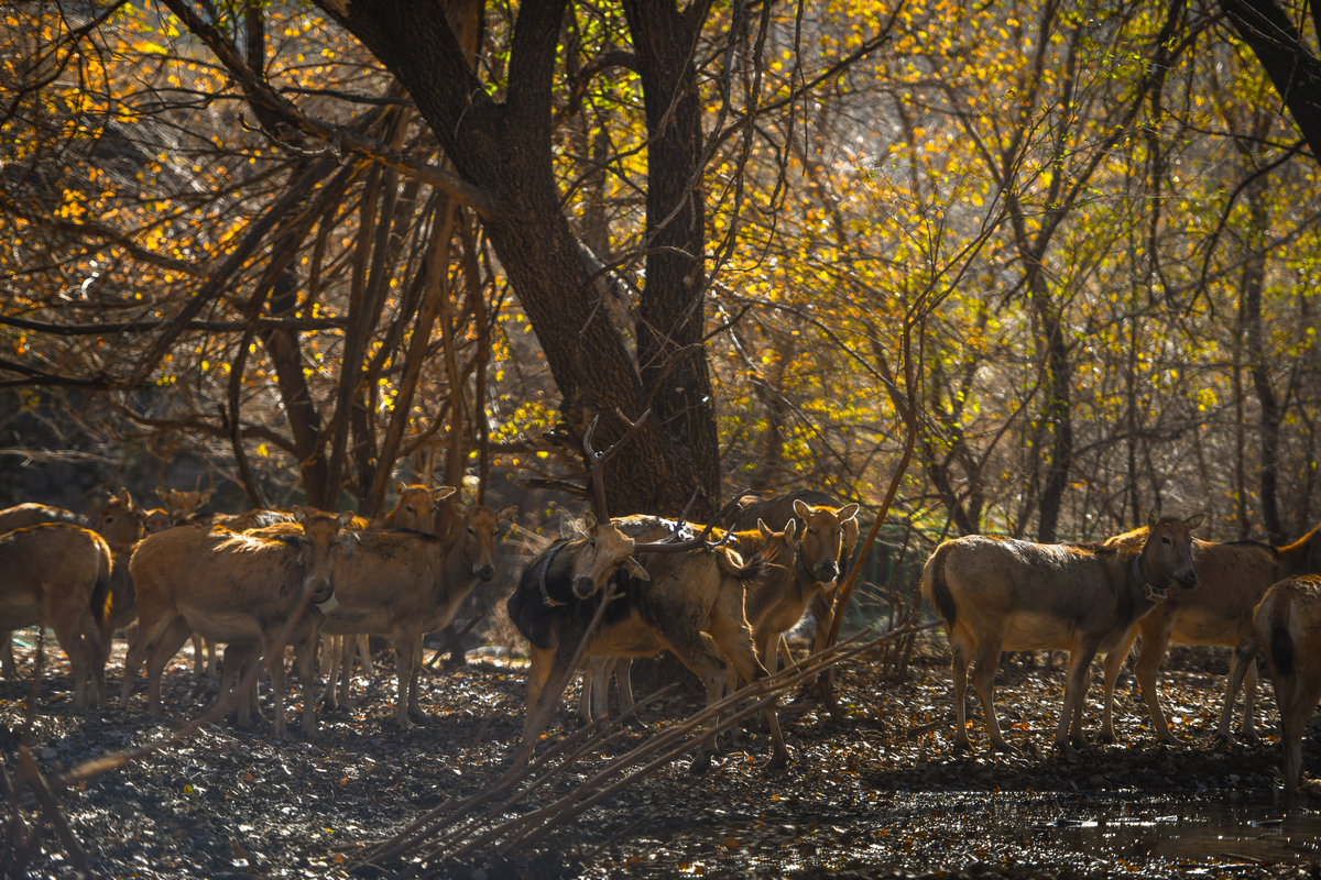 1761634830127227.png 圖片5.png