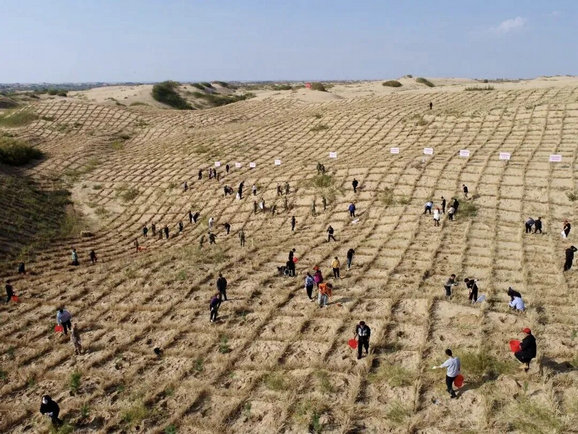 1762757803212404.jpg 獲獎5.jpg