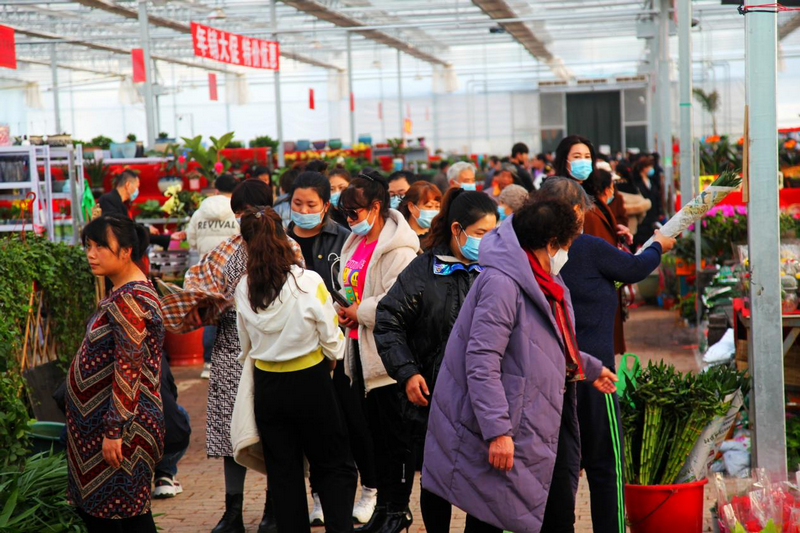 1772266818132985.png 赤峰市民在松山區(qū)雨潤花卉市場選購鮮花 李富 攝.png