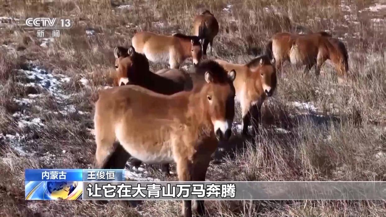 1772594401145404.jpg 013.jpg