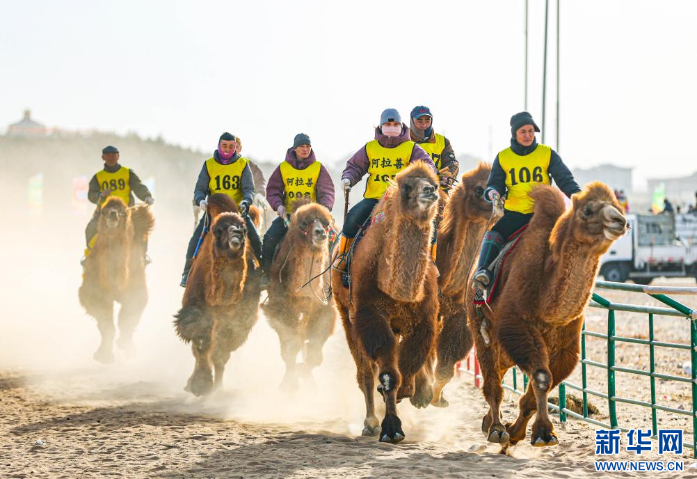3月7日，賽駝手在6000米成年駱駝場(chǎng)地速度賽比賽中。.jpg