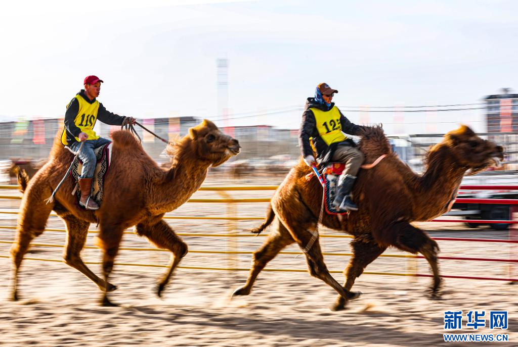 3月7日，賽駝手在6000米成年駱駝場(chǎng)地速度賽比賽中.jpg