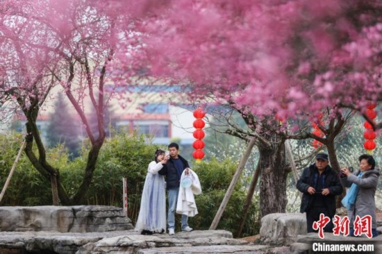 2月23日，市民在乾藝梅園景區(qū)觀賞綻放的梅花。瞿宏倫 攝