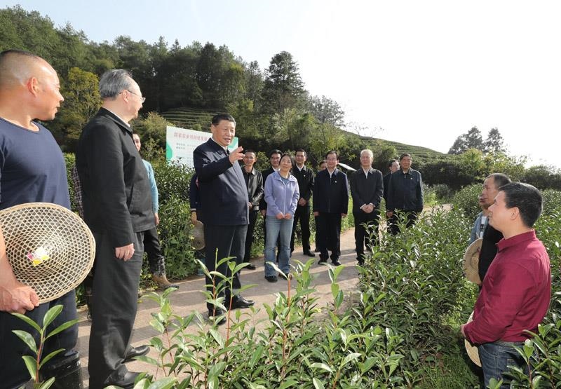 2021年3月22日，習(xí)近平總書(shū)記在福建南平武夷山市星村鎮(zhèn)燕子窠生態(tài)茶園，同科技特派員、茶農(nóng)親切交流，了解當(dāng)?shù)夭璁a(chǎn)業(yè)發(fā)展情況。