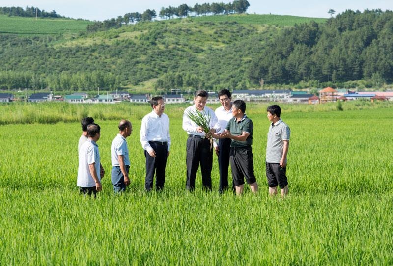 2015年7月16日，習(xí)近平總書(shū)記在吉林延邊州光東村稻田同村民和農(nóng)技人員交流。