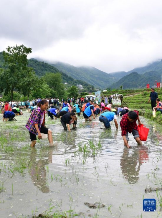 5月27日，秭歸縣九畹溪鎮(zhèn)農(nóng)民參加摸魚比賽。