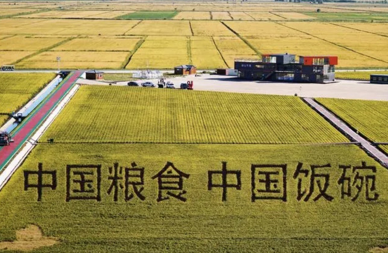 2022年9月2日，黑龍江省富錦市萬畝水稻科技示范園內(nèi)的稻田畫。