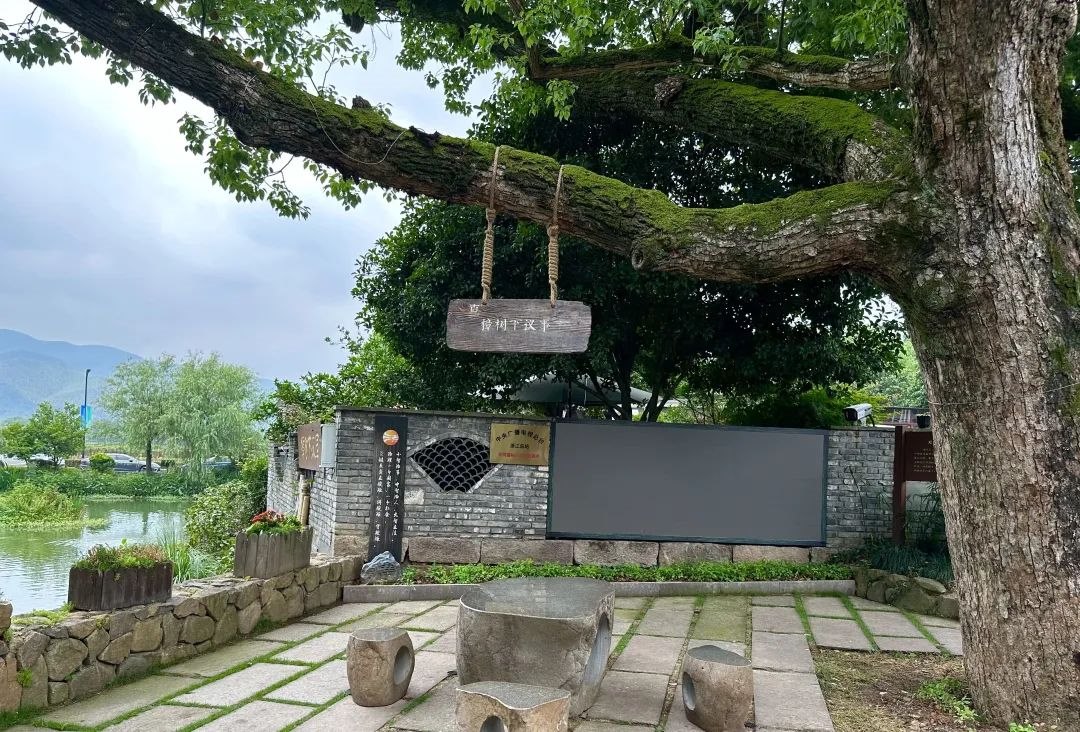 浙江省杭州市余杭區(qū)小古城村的“樟樹下議事”木制字牌。靜玄 攝