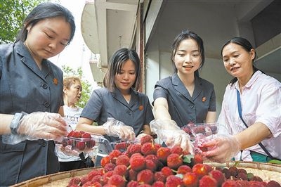 志愿者和村民一起將摘下的楊梅裝進(jìn)食品盒里。