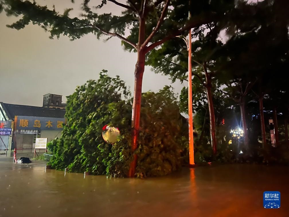 7月17日晚，在廣東湛江海濱大道北，路邊的樹木被風刮倒（手機照片）。新華社記者 鄧華 攝