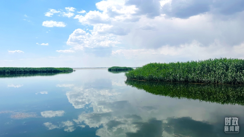 內蒙古烏梁素海，是黃河流域最大的湖泊濕地。（總臺央視記者范一鳴拍攝）
