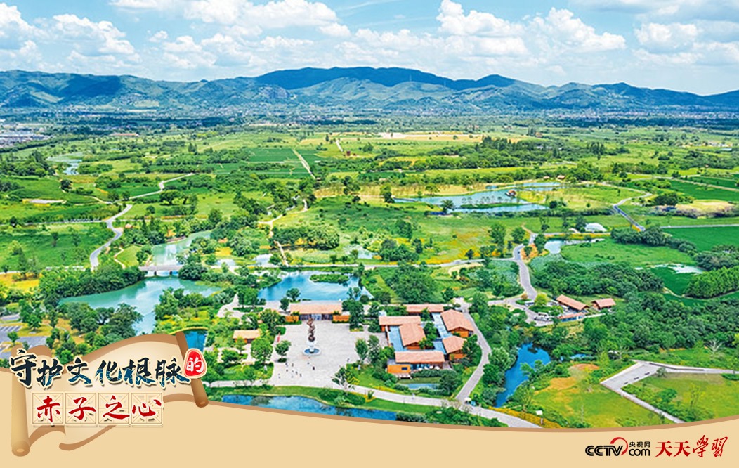 圖為2021年7月拍攝的良渚古城遺址公園。