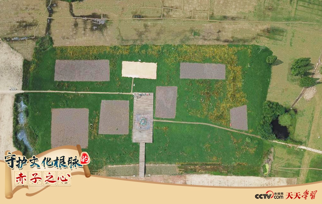 2019年6月23日無人機拍攝的良渚國家考古遺址公園的宮殿區(qū)。
