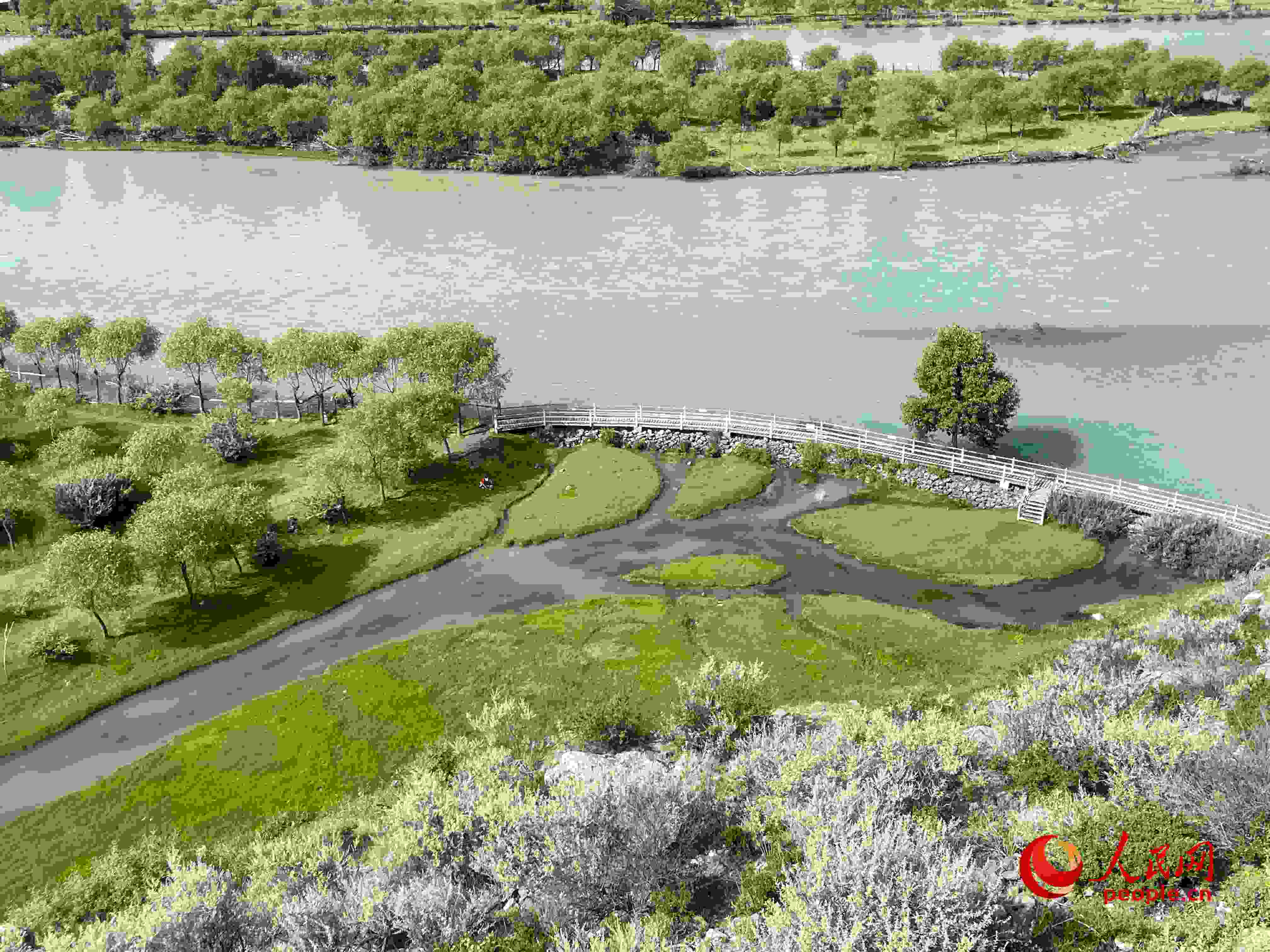 夏日的雅尼國家濕地公園生機(jī)盎然，如詩如畫。人民網(wǎng) 周靜圓攝