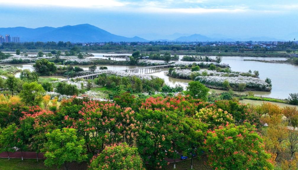 2022年10月11日拍攝的天漢濕地公園景色。新華社發(fā)（宋曉麗 攝）