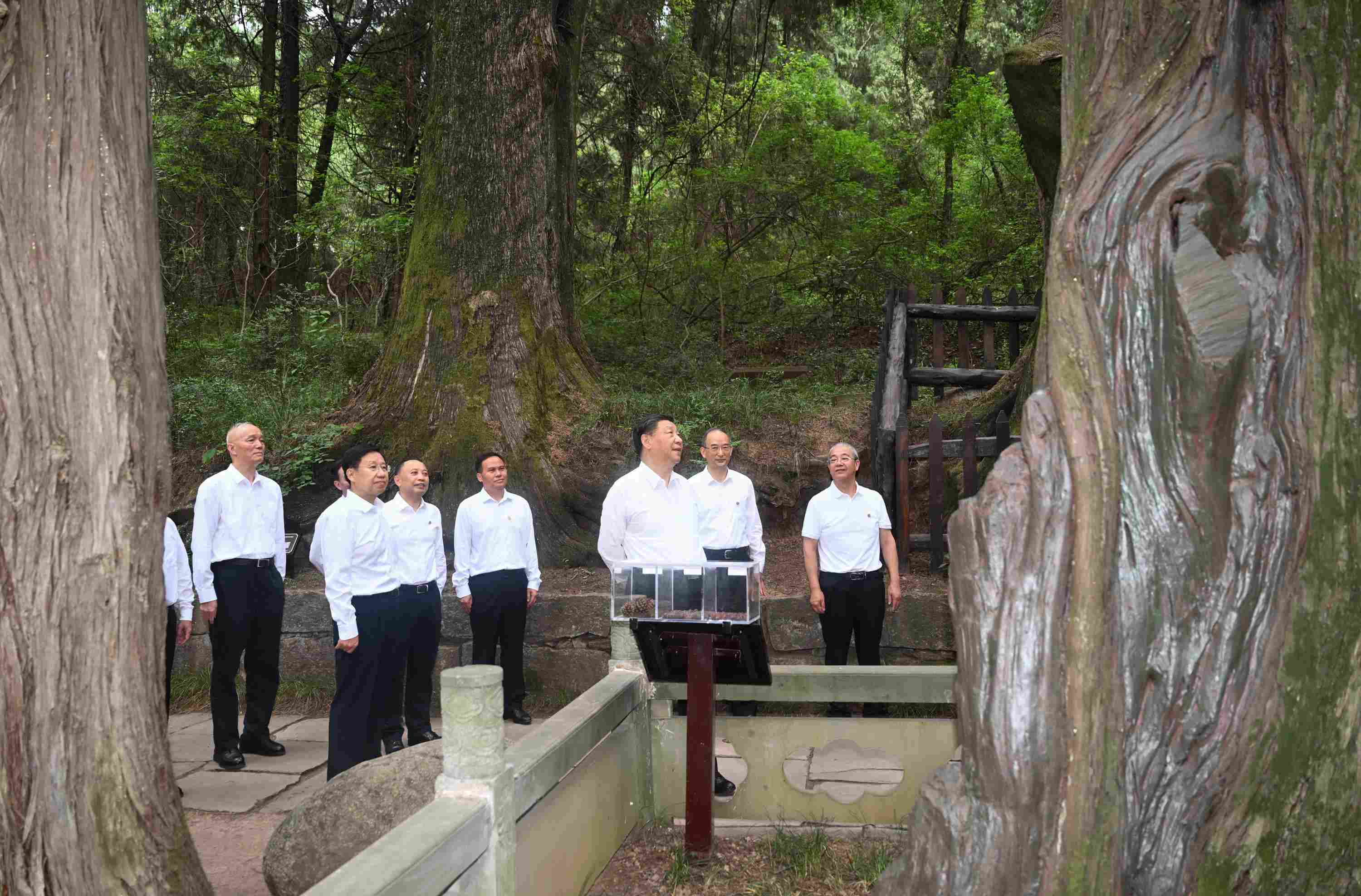 △2023年7月25日，習(xí)近平總書記在四川省廣元市考察了翠云廊古蜀道，了解當(dāng)?shù)赝七M(jìn)歷史文化傳承、加強(qiáng)生態(tài)文明建設(shè)等情況。