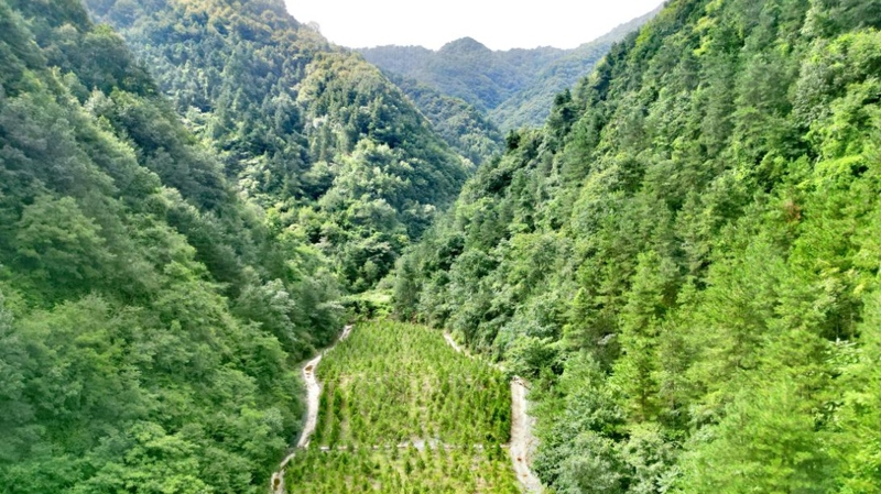 建設中的西氣東輸三線中段。受訪者供圖