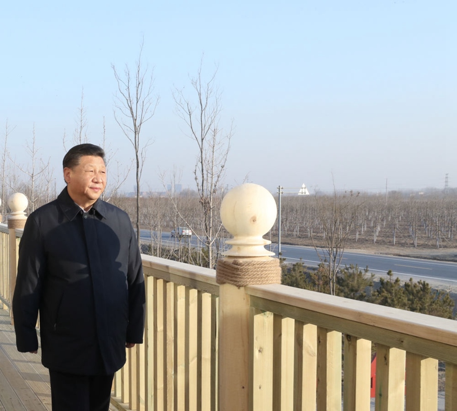 2019年1月16日，習(xí)近平在河北雄安新區(qū)考察調(diào)研。在“千年秀林”大清河片林一區(qū)造林區(qū)域，習(xí)近平登上秀林驛站二層平臺遠眺林區(qū)全貌。