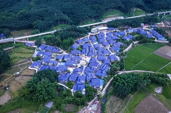 磨憨鎮(zhèn)曼莊村大龍哈小組現(xiàn)代化邊境幸福村新貌。人民網(wǎng)記者 符皓攝