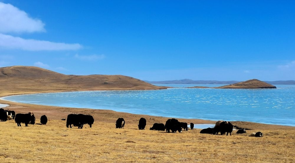 在三江源國家公園黃河源園區(qū)拍攝的扎陵湖風(fēng)光（2022年3月12日攝）。新華社記者 呂雪莉 攝