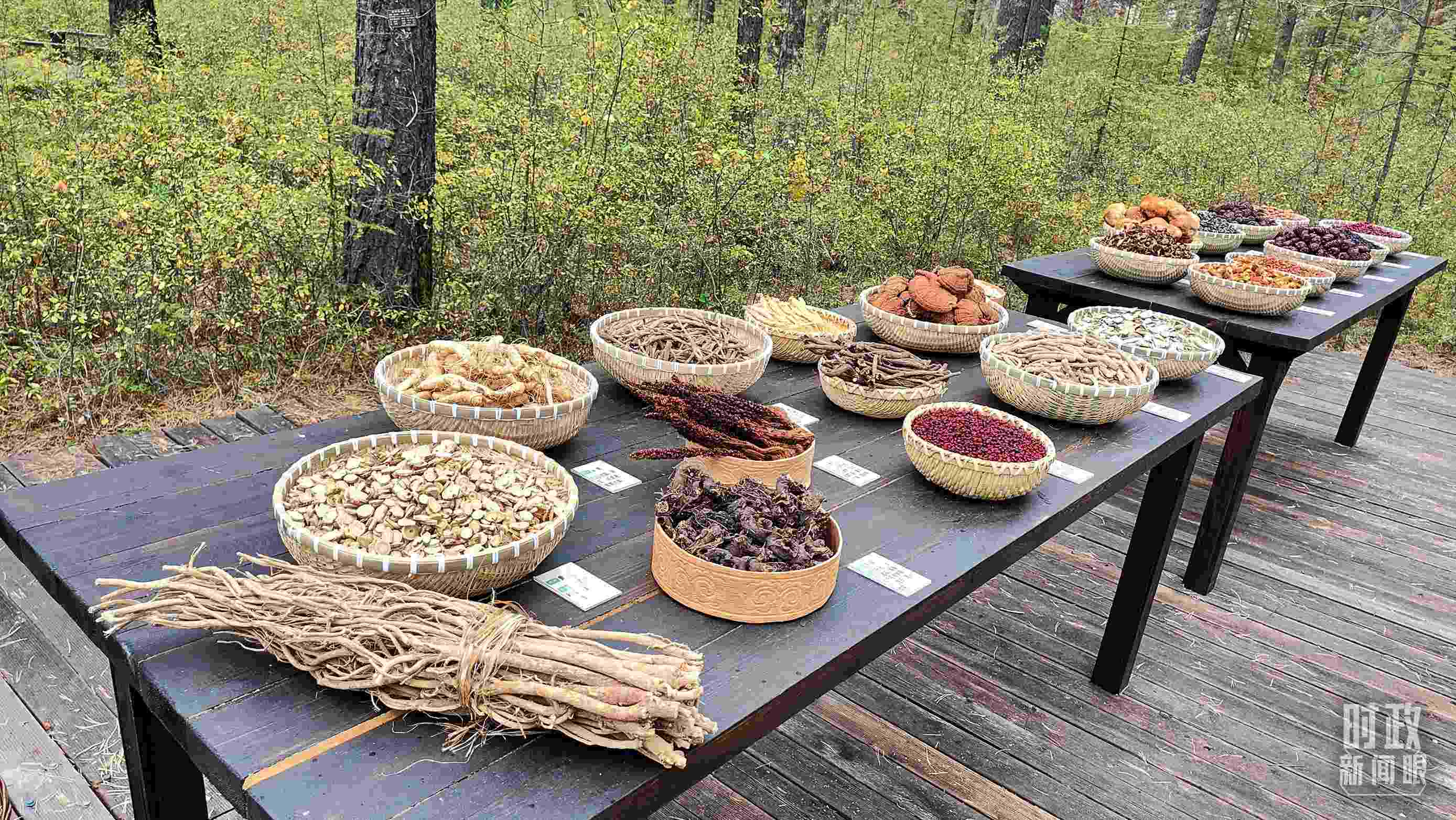 △林場里的食用菌、林果等特產(chǎn)。（總臺(tái)央視記者楊立峰拍攝）