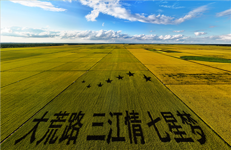 △北大荒集團(tuán)建三江分公司千萬(wàn)畝良田