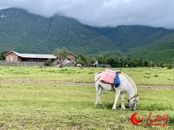 玉湖村附近草甸。人民網(wǎng) 周靜圓攝