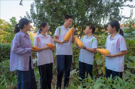 密云區(qū)第五中學(xué)豐收節(jié)活動(dòng)。北京市教委供圖