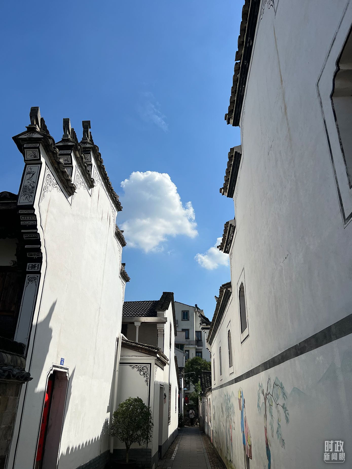 △浙江省金華市義烏市后宅街道李祖村。（總臺央視記者李煒拍攝）