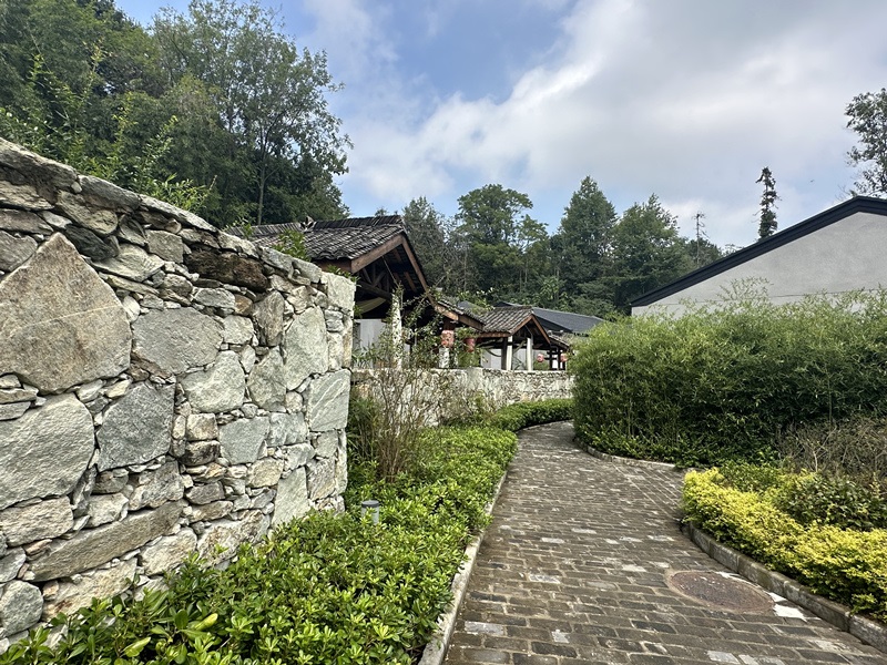 眾多民宿坐落于夫子山山麓。人民網(wǎng) 王紹紹攝