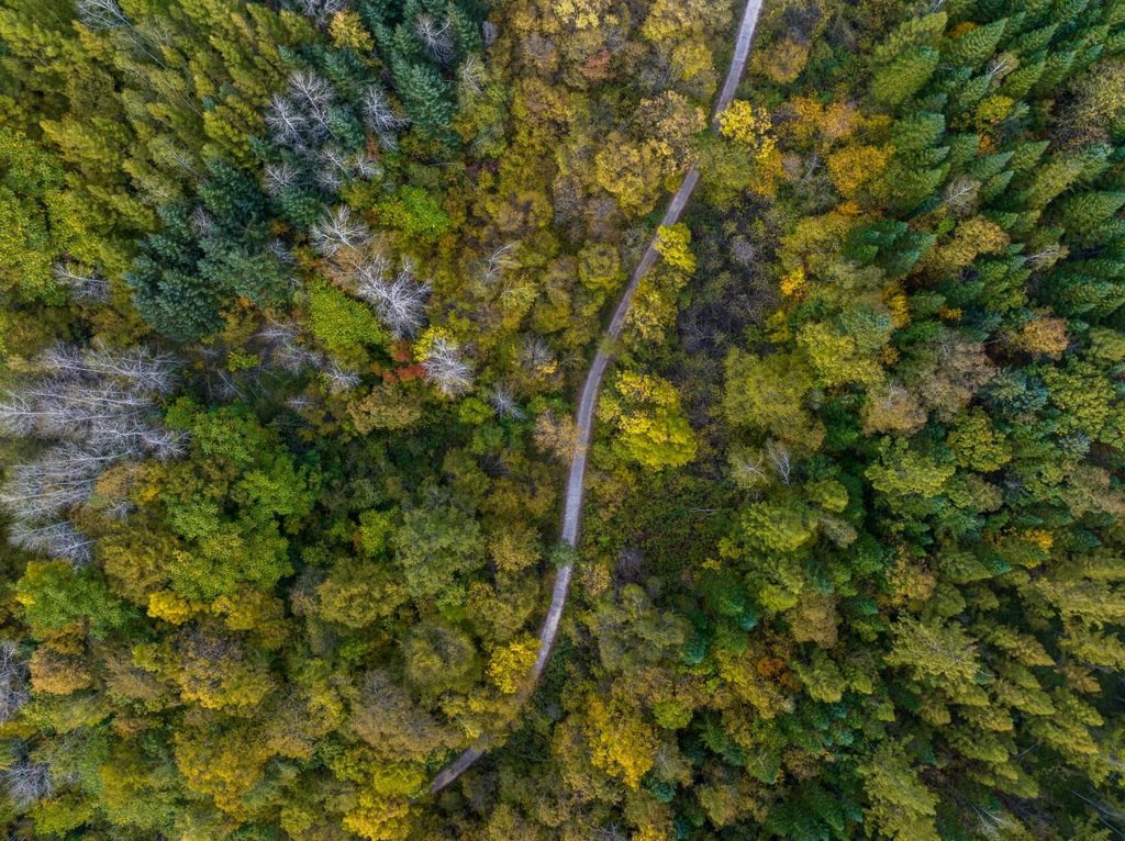 綠意盎然的長白山地區(qū)。王哲攝
