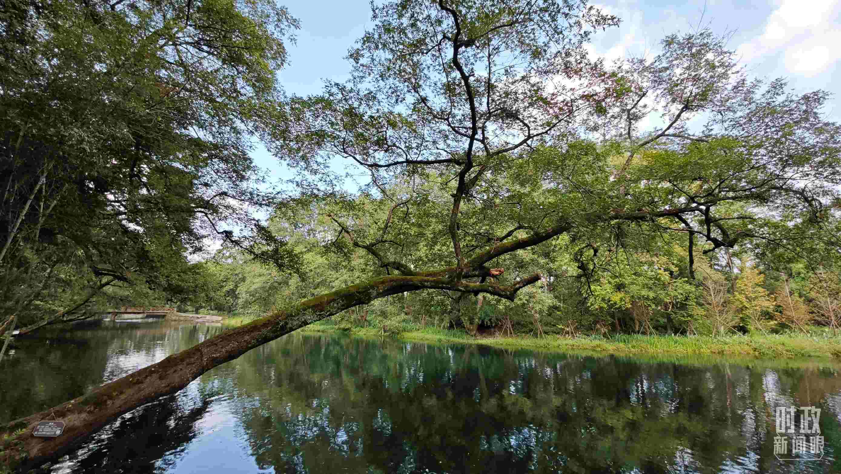 △饒河源國(guó)家濕地公園。（總臺(tái)央視記者郁振一拍攝）