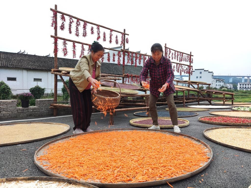 近日，江西省上饒市婺源縣秋口鎮(zhèn)王村的村民正在晾曬農作物。新華社記者 劉佳敏 攝