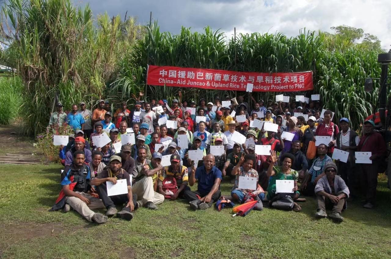 △2020年12月17日，在巴布亞新幾內(nèi)亞東高地省，參加中國援助巴新菌草和旱稻技術(shù)項目第9期培訓班的當?shù)孛癖娬故窘Y(jié)業(yè)證書。