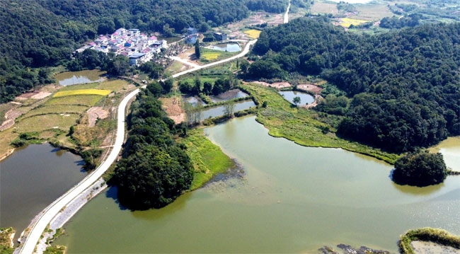 楊金龍用手機拍攝的道路全景。受訪者供圖